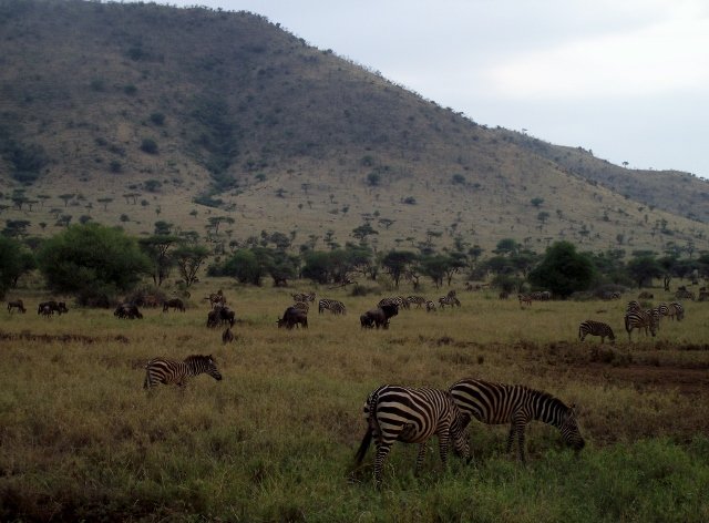 Tanzania 246